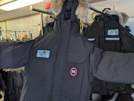 Survival of the Warmest: Your Ultimate Guide to "Parka Season" in Yellowknife