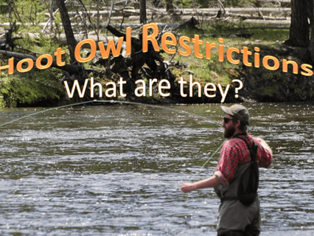 What are Hoot Owl Restrictions?