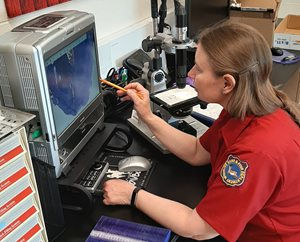 Hunters Help Manage Herds Through Wyoming Tooth Aging Program