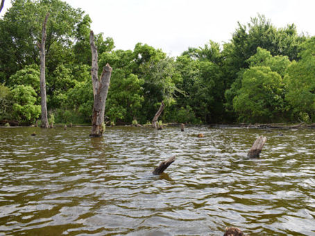 Fishing in Muddy Water, Think Like a Fish