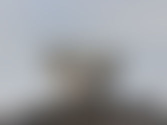 Grand Teton Mountain Goat Cull Underway