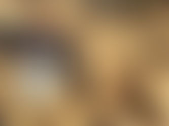 Nebraska Bighorn Sheep Hunter Successful