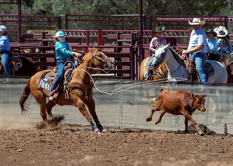 Payson Pro Rodeo | Tickets | Arizona