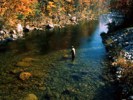 Fly Fishing in Maine: The Top Species – Flies and Times
