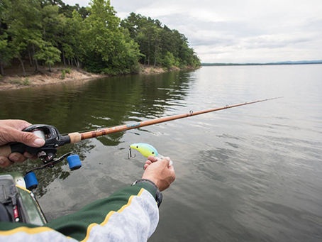 Casting Crankbaits for Springtime Bass