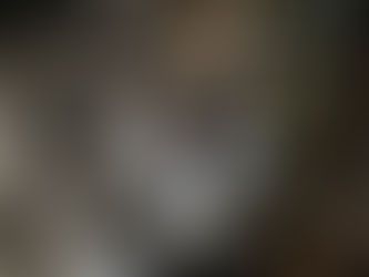 WOLVES: Conserving the Nature of America