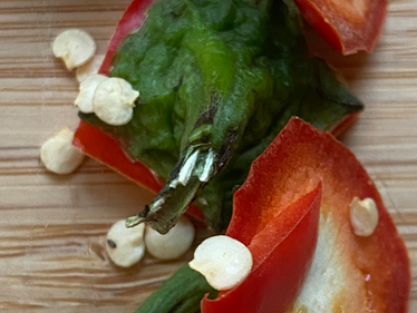 Avoiding Food Waste : Week 1