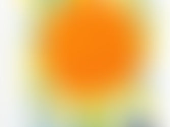 What do you mean the Bean won't grow?! By Lily Timms