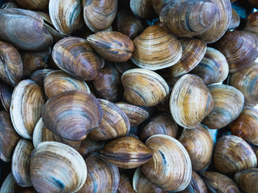 clamming w/ bare hands : ★ ★ ★ ☆ ☆
