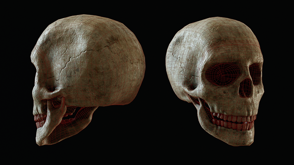 Skull render wireframe