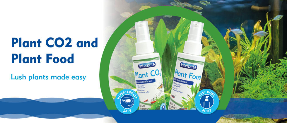 Header Image Web Plant food and CO2