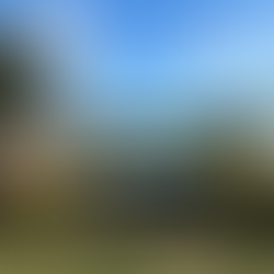 Madeira Pool mitten im Weingut und Hotel