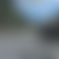 Madeira strand steine