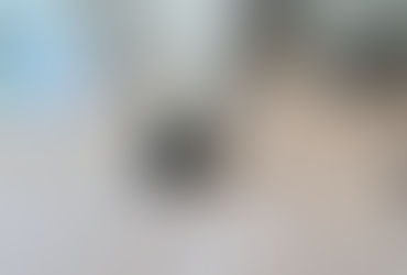 screening process removing light wear from engineered hardwood floors