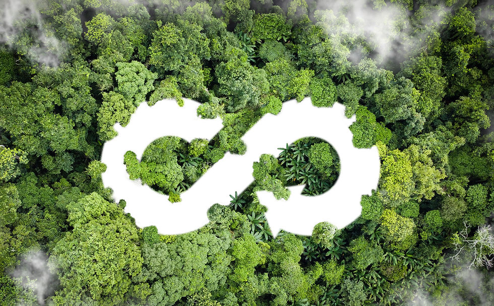 circular-economy3.jpg
