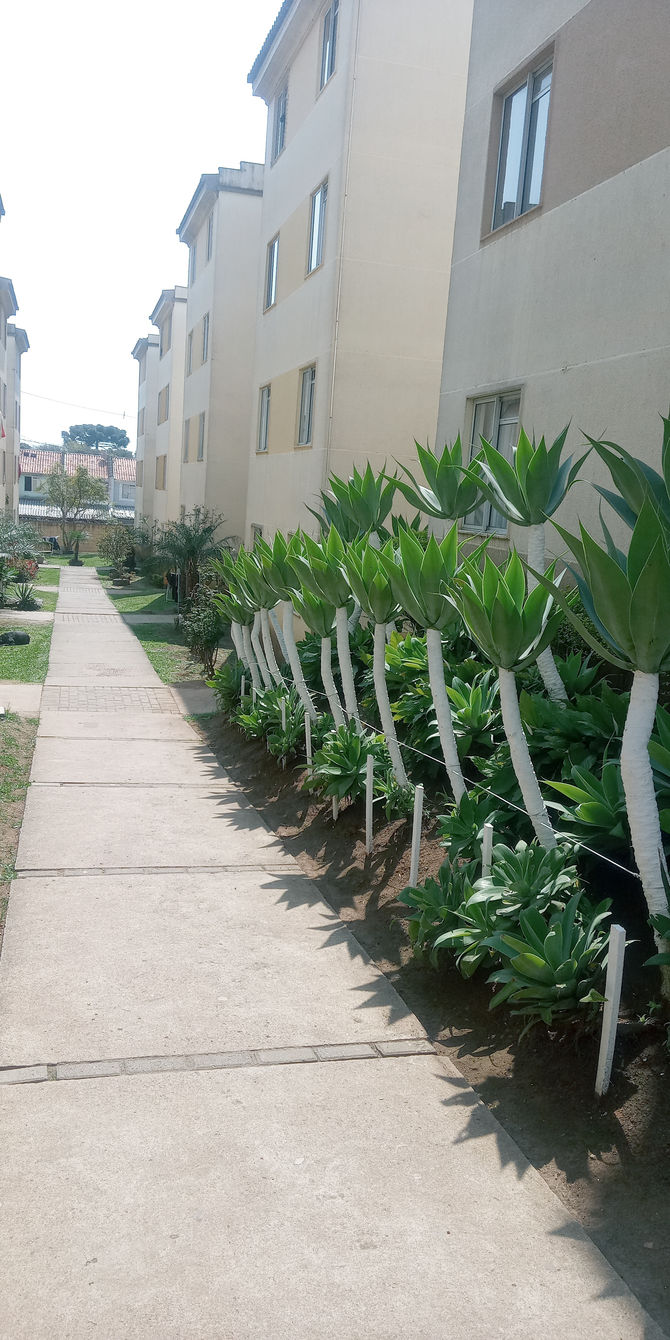 Lindo Apto de 2 dormitórios, Ganchinho- Curitiba - Pr R$ 160.000 aceita financiamento.