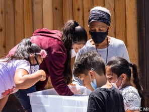 Oreos and Gummies in the Summer Classroom