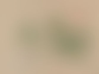 『小林源之助の蝦夷草木図』