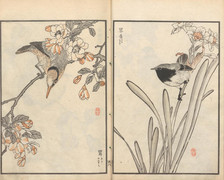 草花百種 幸埜楳嶺 山田芸艸堂 和装本 明治34年 彩色木版画譜 図譜 花鳥画に息づく日本の心:幸野楳嶺が描いた自然への讃歌と花卉