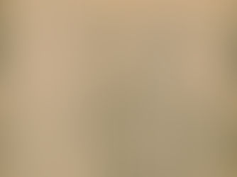 『怡顔斎桜品』と『怡顔斎梅品』