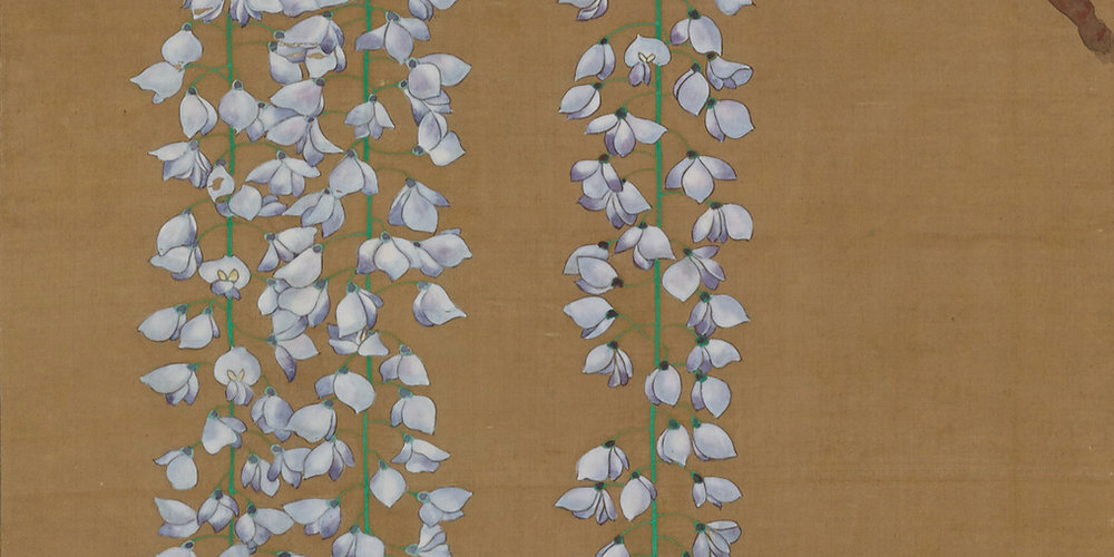 4c55a0_a3bf6fed4afb4b47b53fd0d