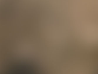 雪舟筆「四季花鳥図屏風」