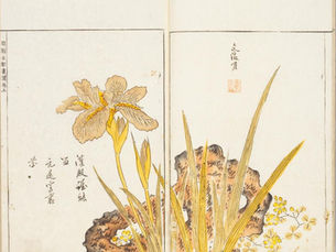 日本初の色刷り画譜「明朝紫硯」