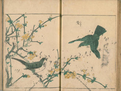浮世絵師・北尾重政の花鳥写真図彙