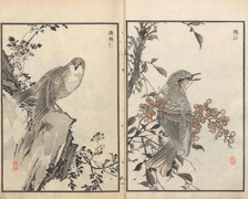 明治の花鳥 楳嶺・曽文の世界 楳嶺花鳥画譜（ばいれいかちょうがふ）とは - Japaaan