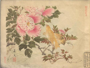 景文花鳥画譜の世界:自然への敬愛が織りなす日本の美