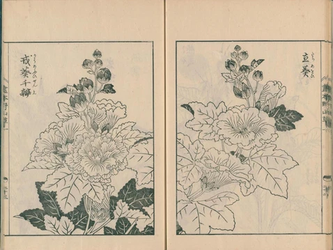 4c55a0_e19918f3497d4e85beead1b