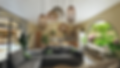 RENDER3 copy.png