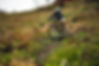 Sciu_Aspen_0028_mg.jpg