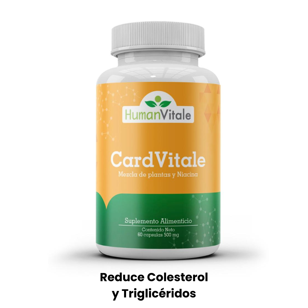 CardVitale Natural Cholesterol Support | Vitale Life Coaching