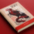 Livro Terra dos Pássaros