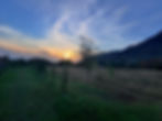 IMG_9654.jpeg