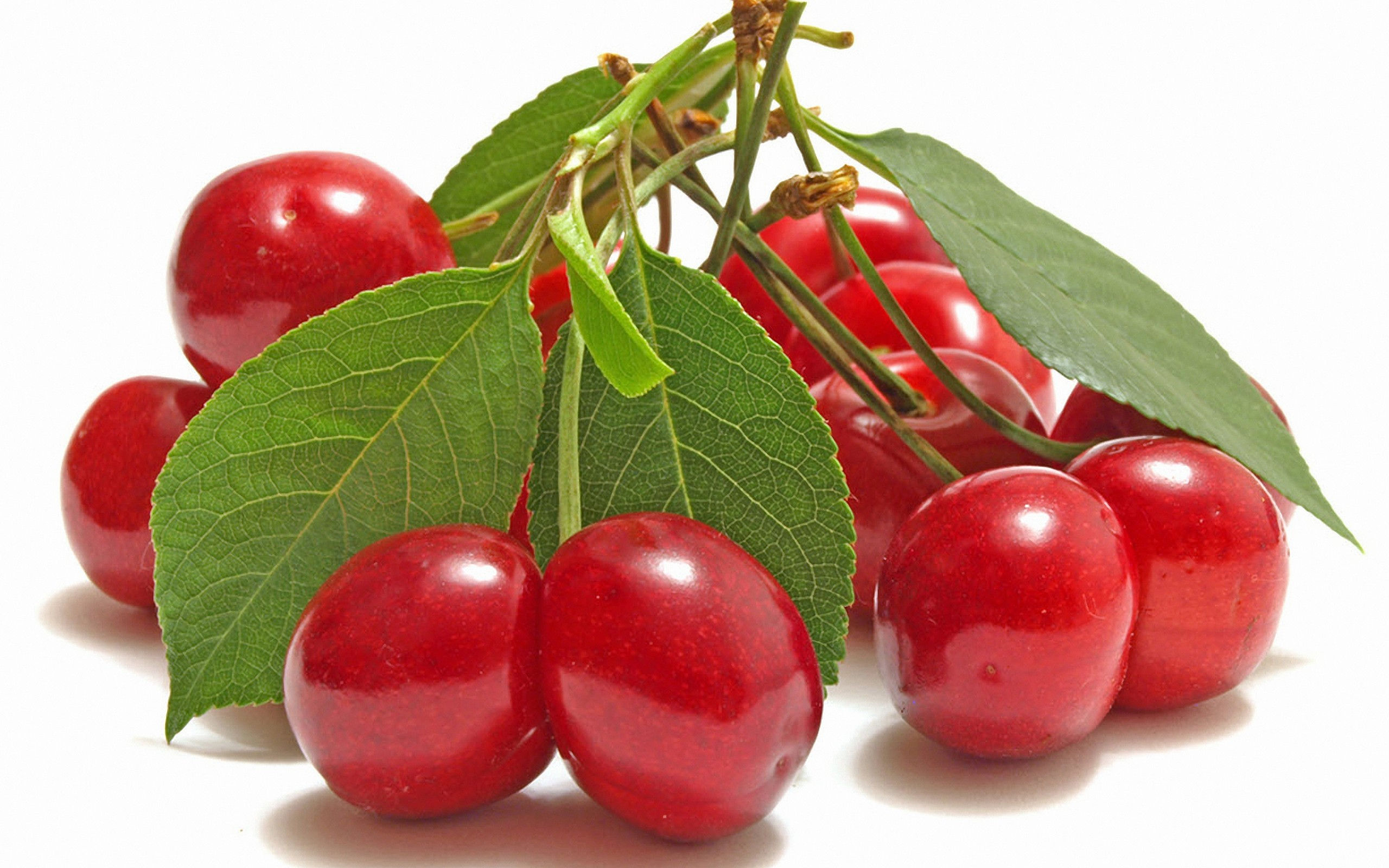 চেরি [Cherry]