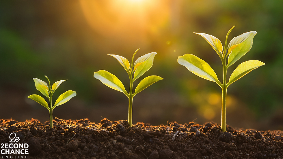 Αγγλικά στην ενήλικη ζωή: μικρά βήματα, αληθινή πρόοδος