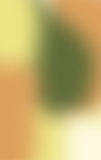 Proyectos destacados