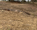 land clearing