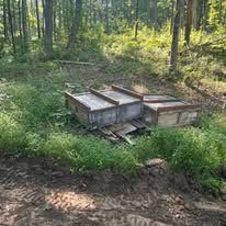 516621288_122139564638739260_5446094795702918092_n