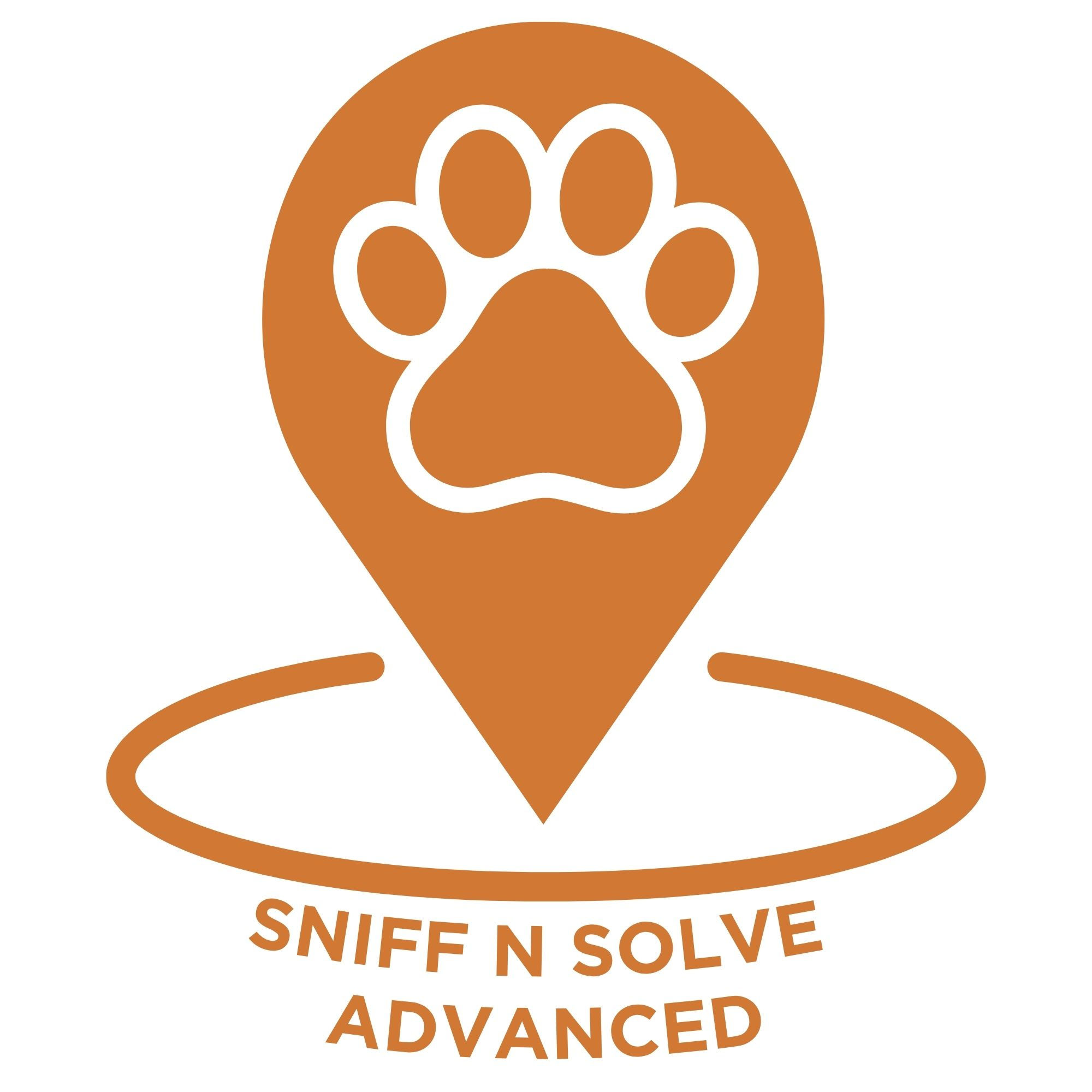 Sniff n Solve - Advanced