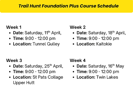THI FOUNDATION PLUS Schedule.png