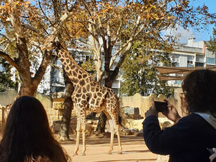 Uma visita de estudo ao Jardim Zoológico