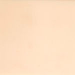 Amaretto  FSS-105.jpg