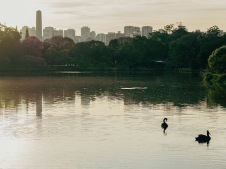 Desde Bienal do Livro à atividades no parque, confira a programação cultural de setembro