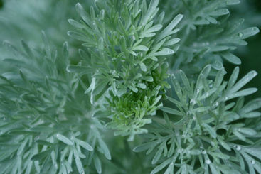 Spiritualität im Alltag – die Kraft des Bewusstseins im Hier und Jetzt