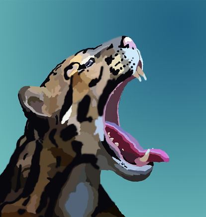 Green Clouded Leopard_.jpg