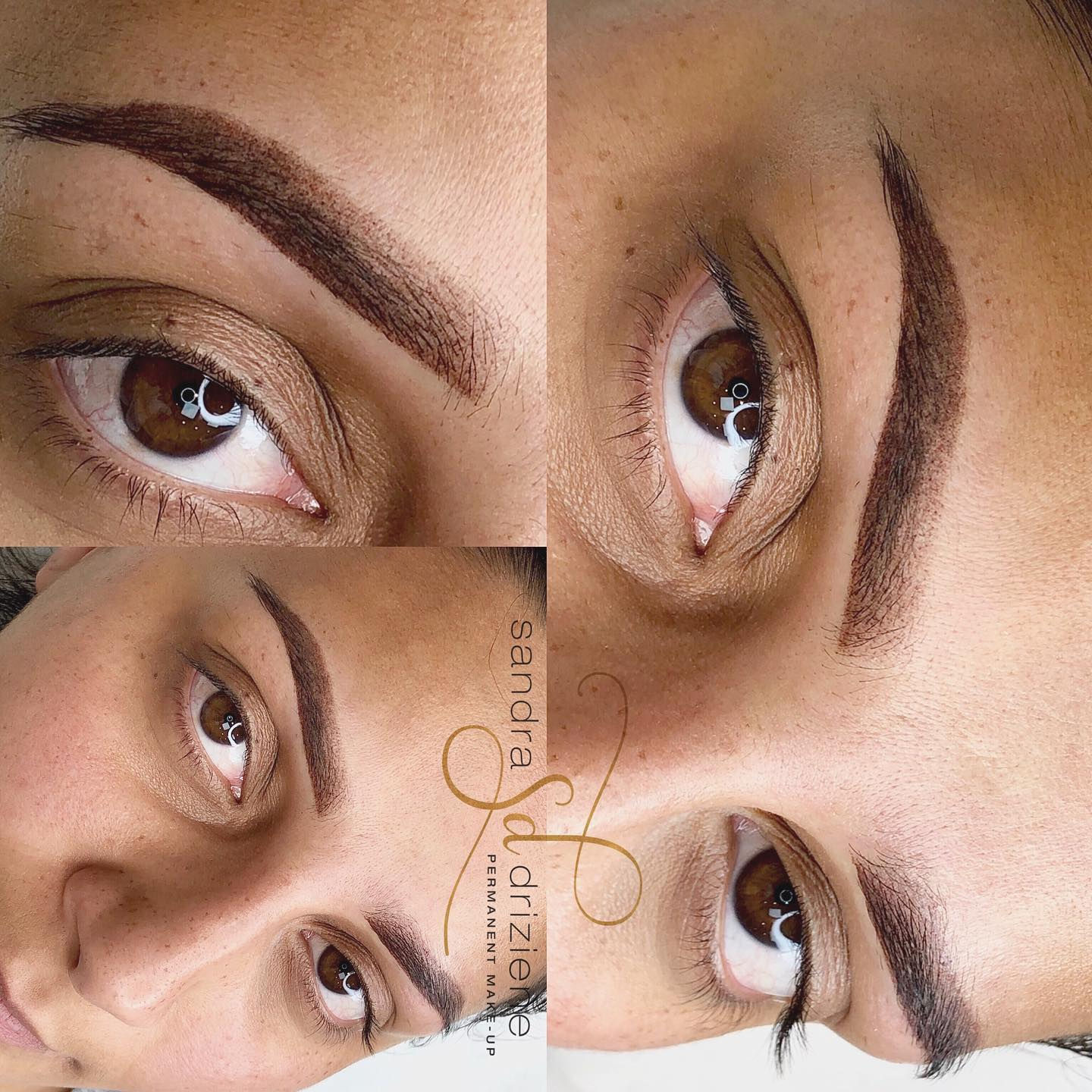 Powder Eyebrows