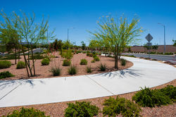 Henderson Hospital_ 501 Studios_05-16-18_-67